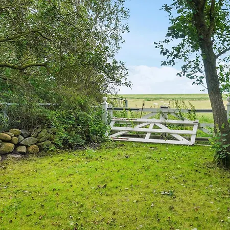 Beautiful In With Wifi